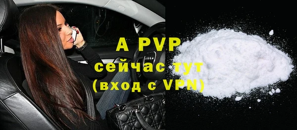 ECSTASY Белокуриха
